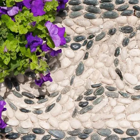 Acropolis House Hébergement de vacances *